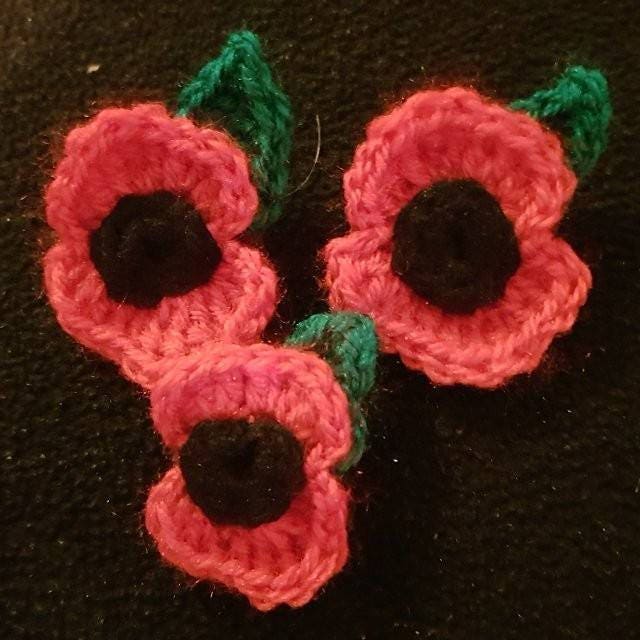 Remembrance day Poppy